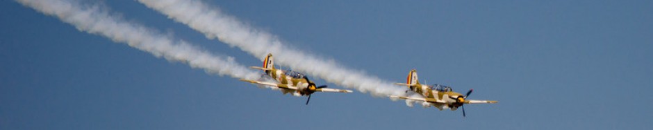 Aerobatic Flying